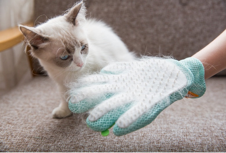 Spazzola per la depilazione degli animali domestici